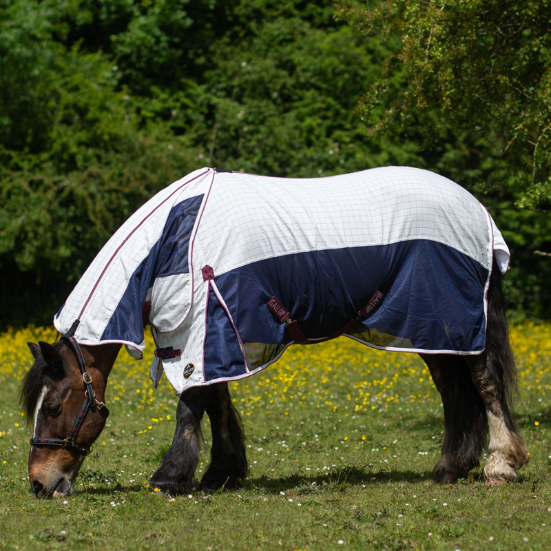 Gallop Air Mesh Detachable Neck Cooler in White and Navy-1